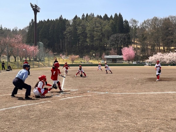 430C5E11-3A76-437E-A5B3-A86A1414D495