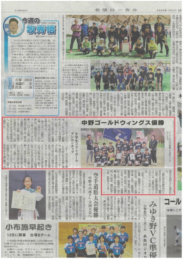 デンセンカップ